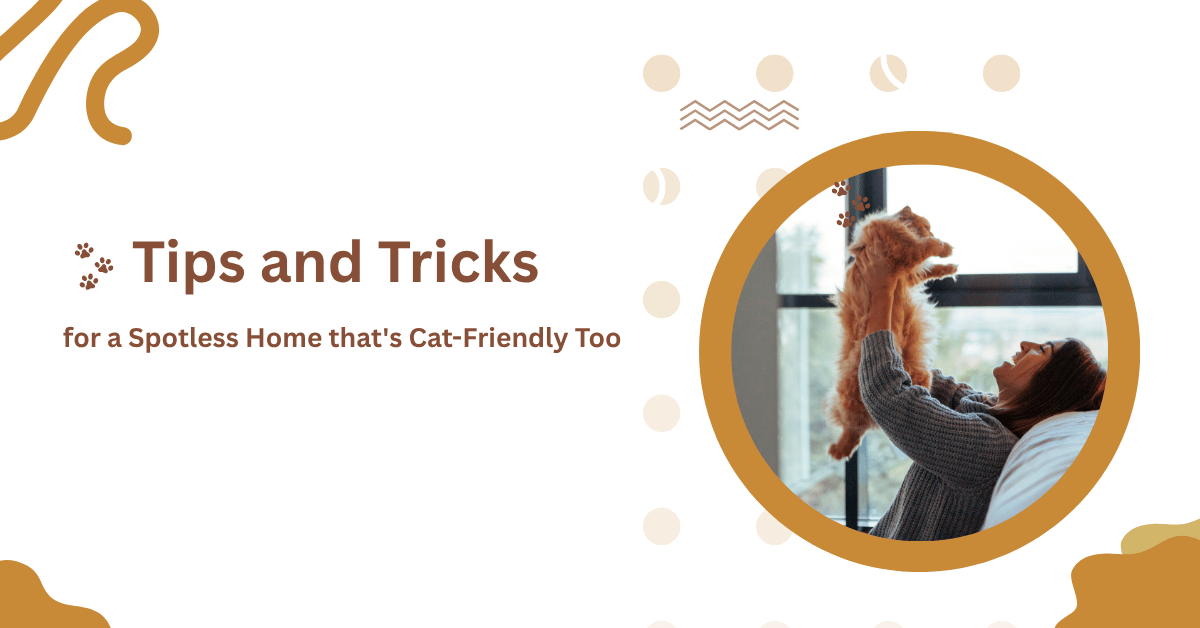 cat sitter in London