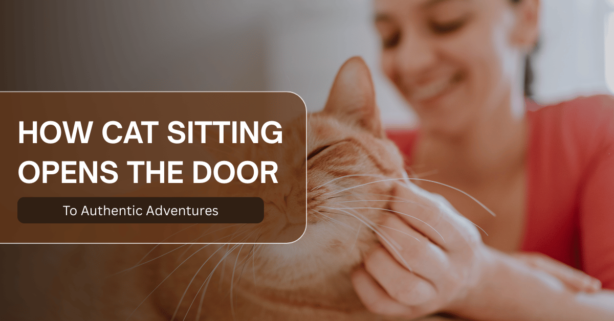 Cat Sitting Opens the Door