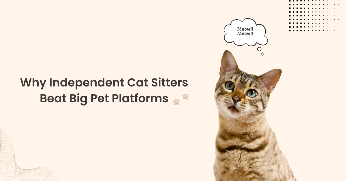catsitter