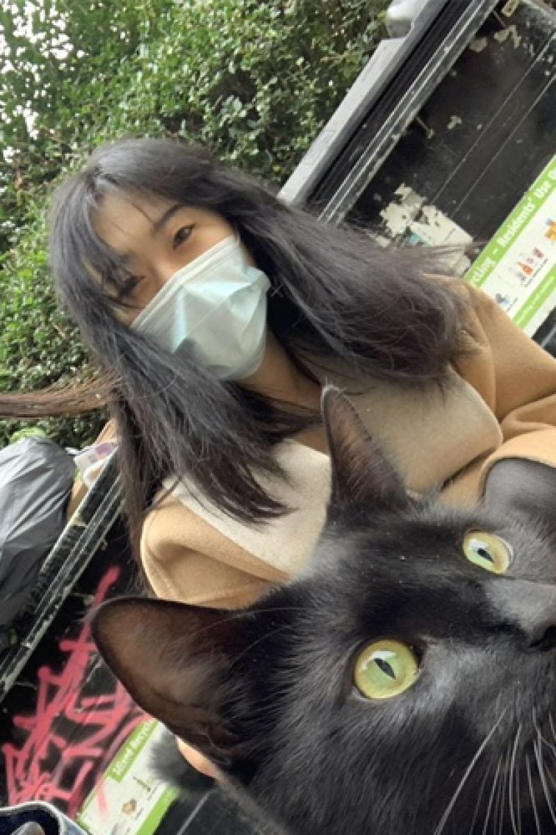 cat care