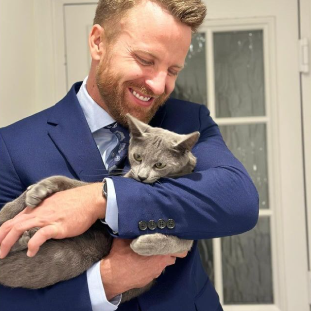 chatty cat care